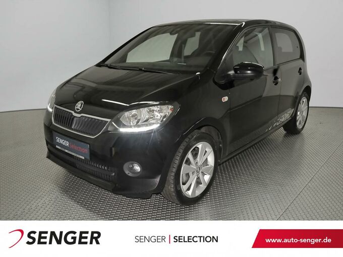 Skoda Citigo Kleinwagen Auto Senger